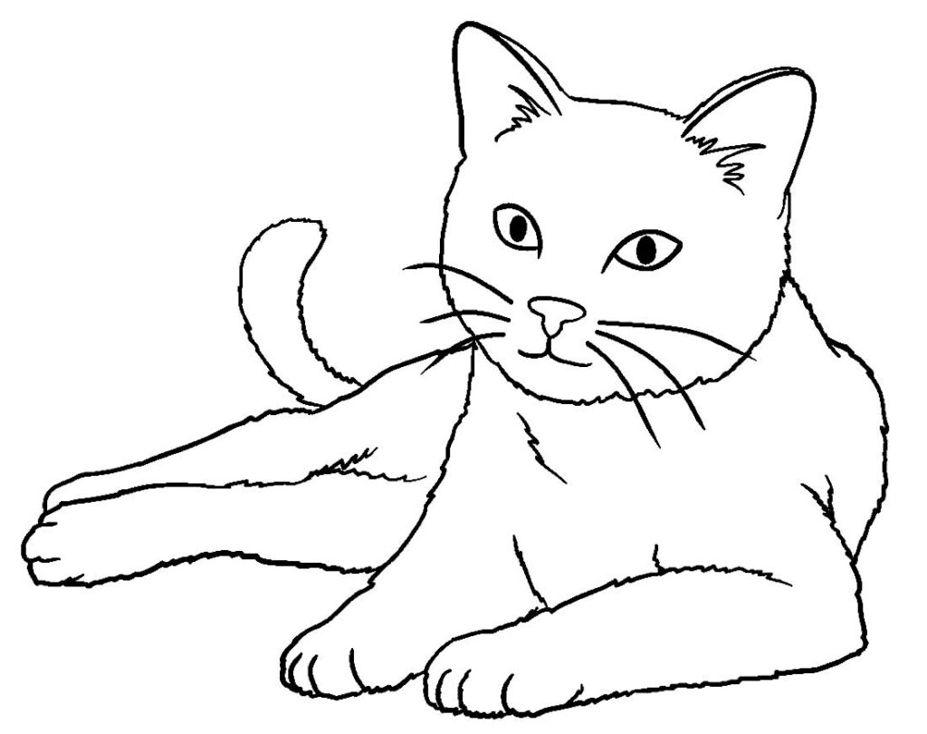 Desenhos para colorir de Gatinho Fofo