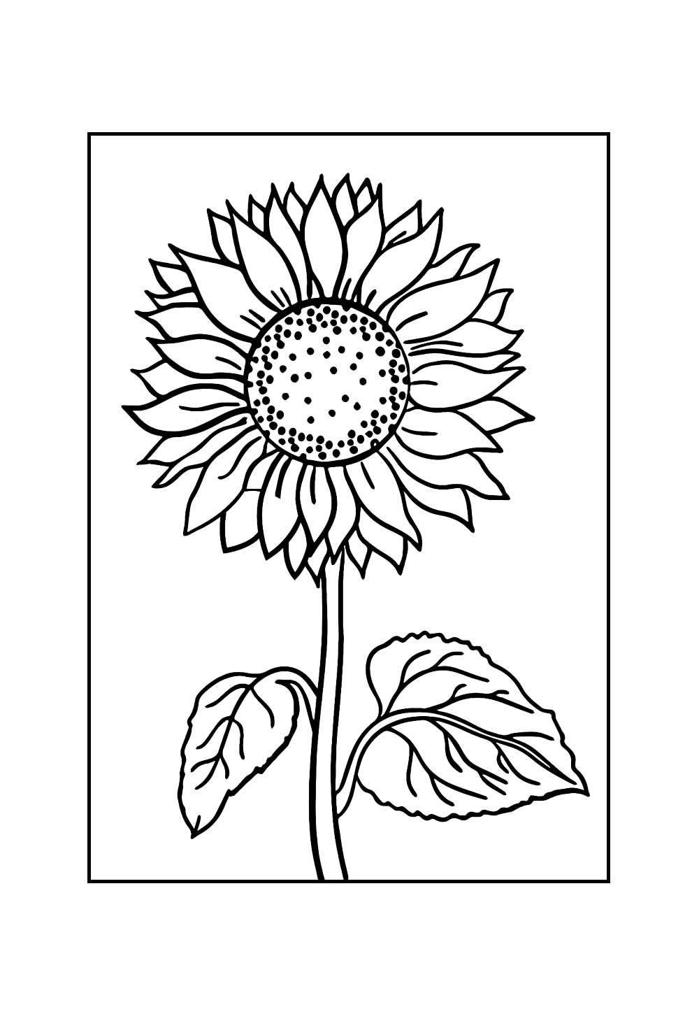 Desenho de Girassol para colorir