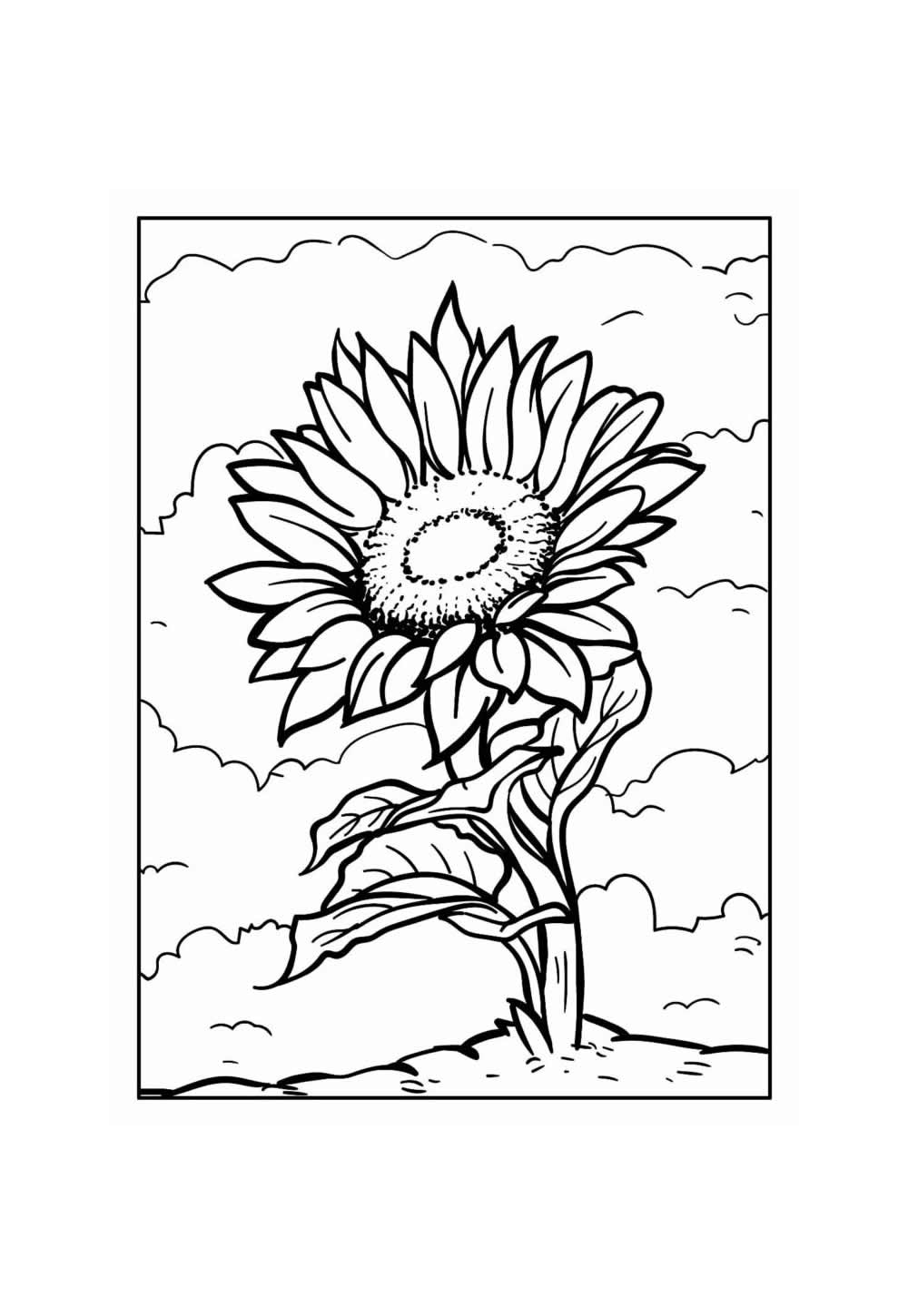 Desenho para colorir de Girassol