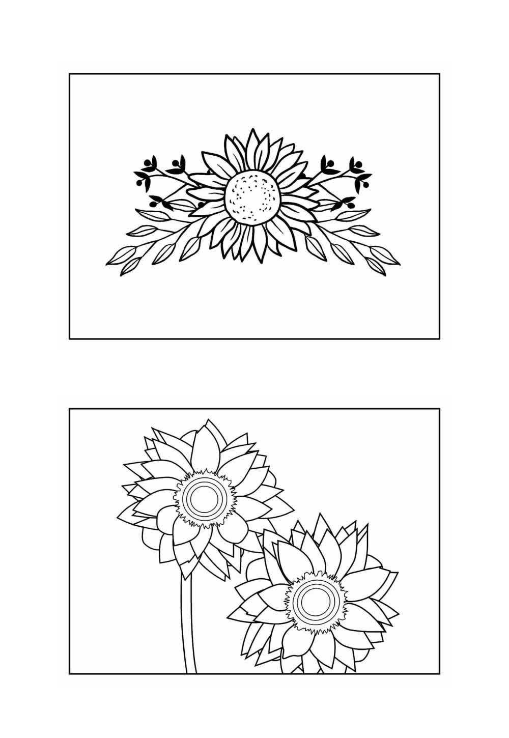 Desenho de Girassol para colorir