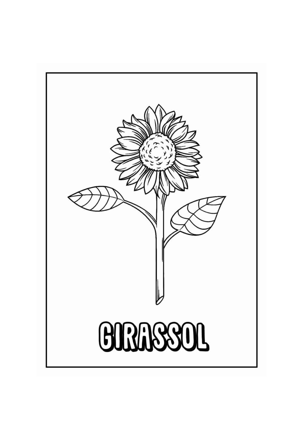 Desenho Educativo de Girassol para colorir