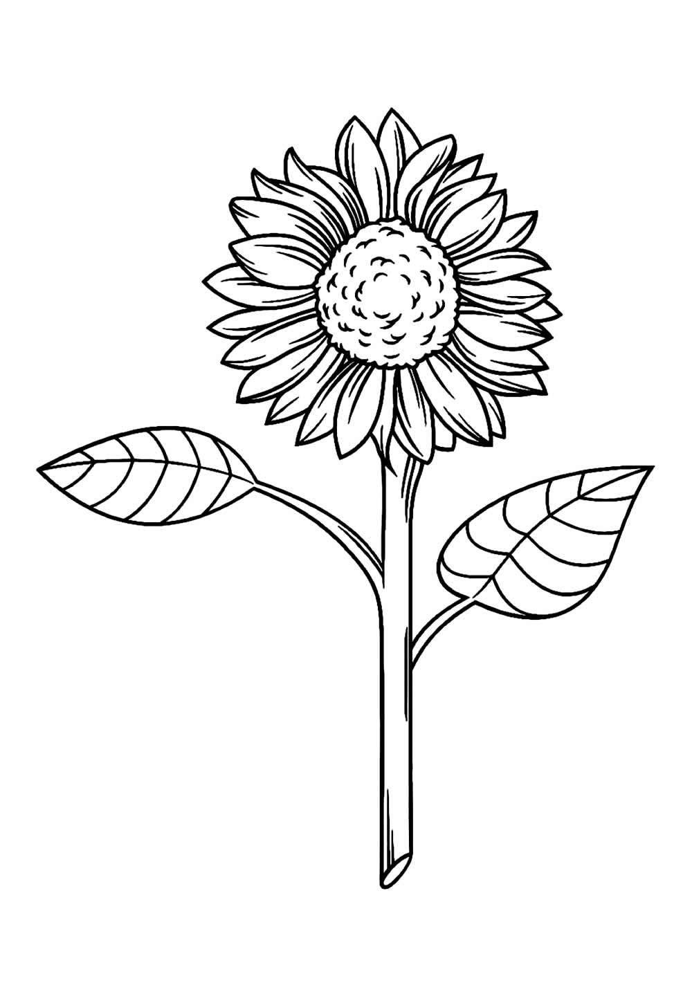 Girassol para colorir