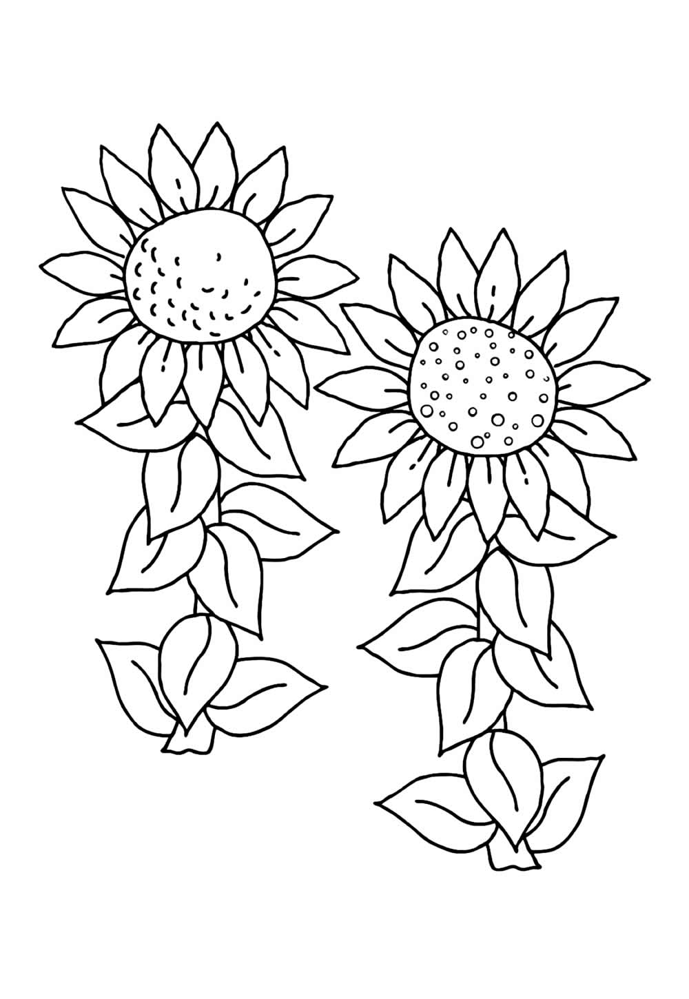 Desenho de Girassol para pintar
