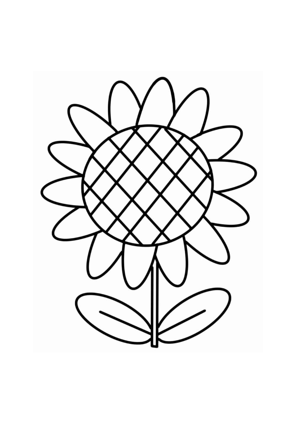 Girassol para pintar