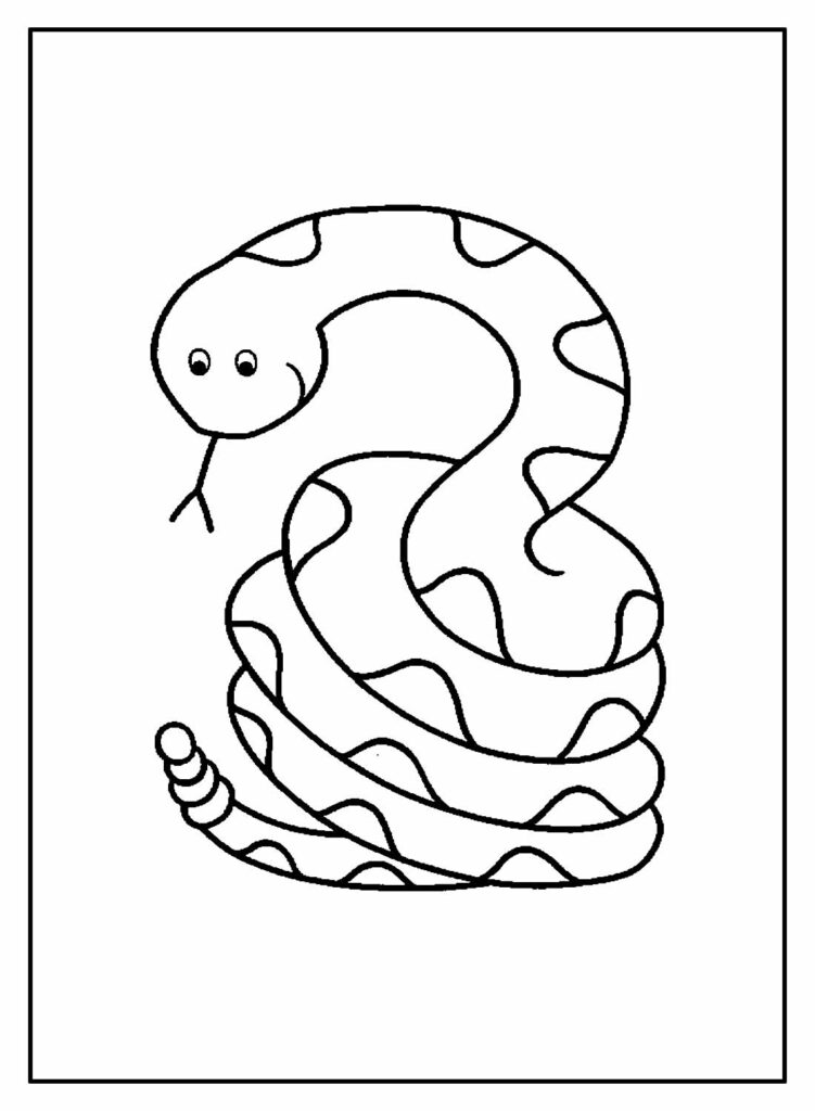 Desenhos de Cobra para colorir - Bora Colorir