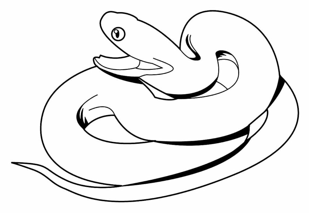 Desenhos de cobra para colorir - Blog Ana Giovanna