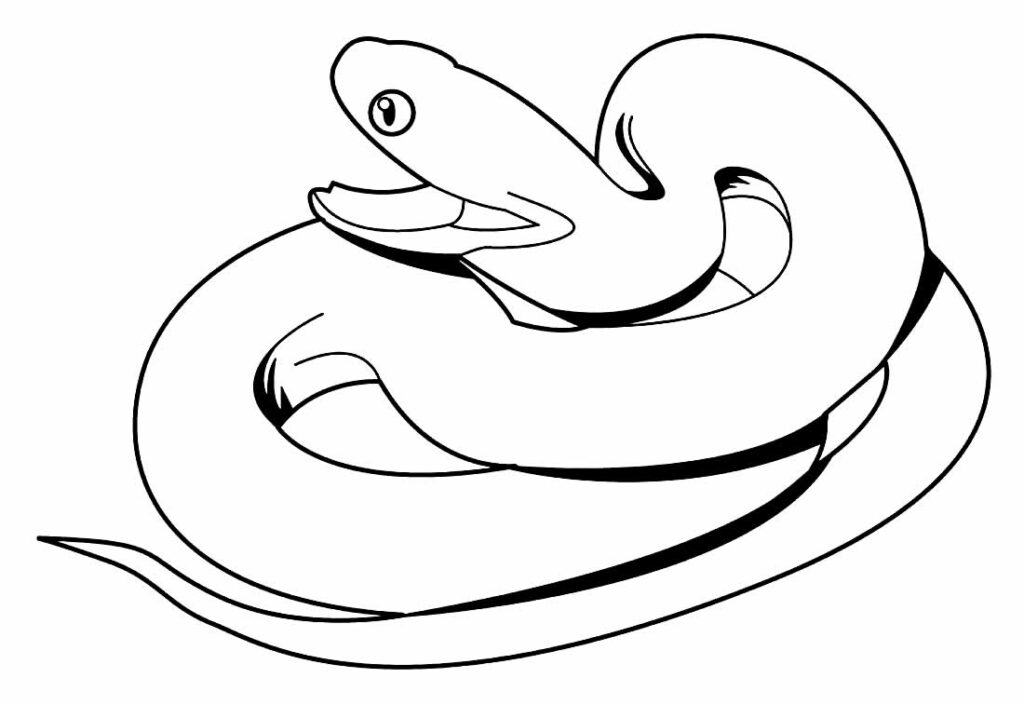 Desenho Para Colorir cobra - Imagens Grátis Para Imprimir - img 10355