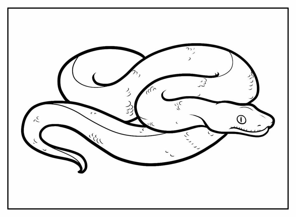 Desenhos para colorir de desenho de uma cobra fofa para colorir  
