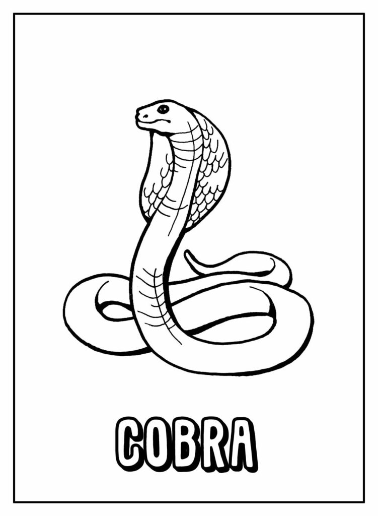 Desenhos - Cobra - Colorir e Pintar - QDB