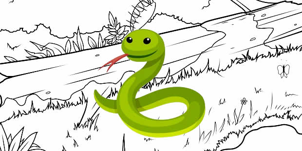 Desenhos de Cobra para colorir