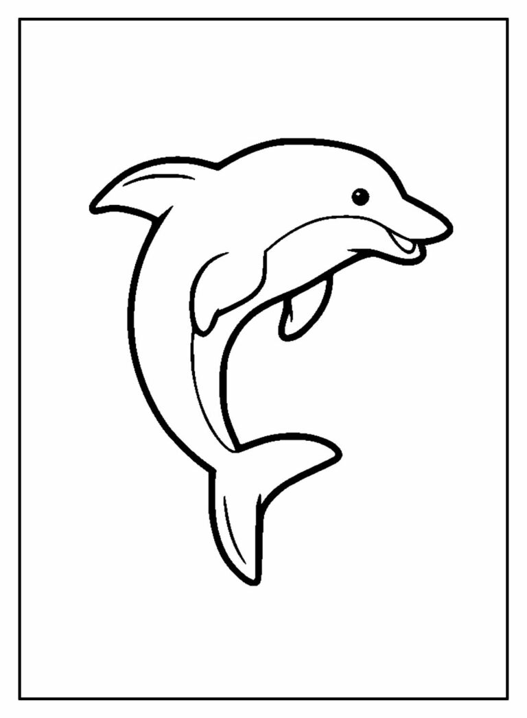Desenhos de Golfinho para colorir - Bora Colorir