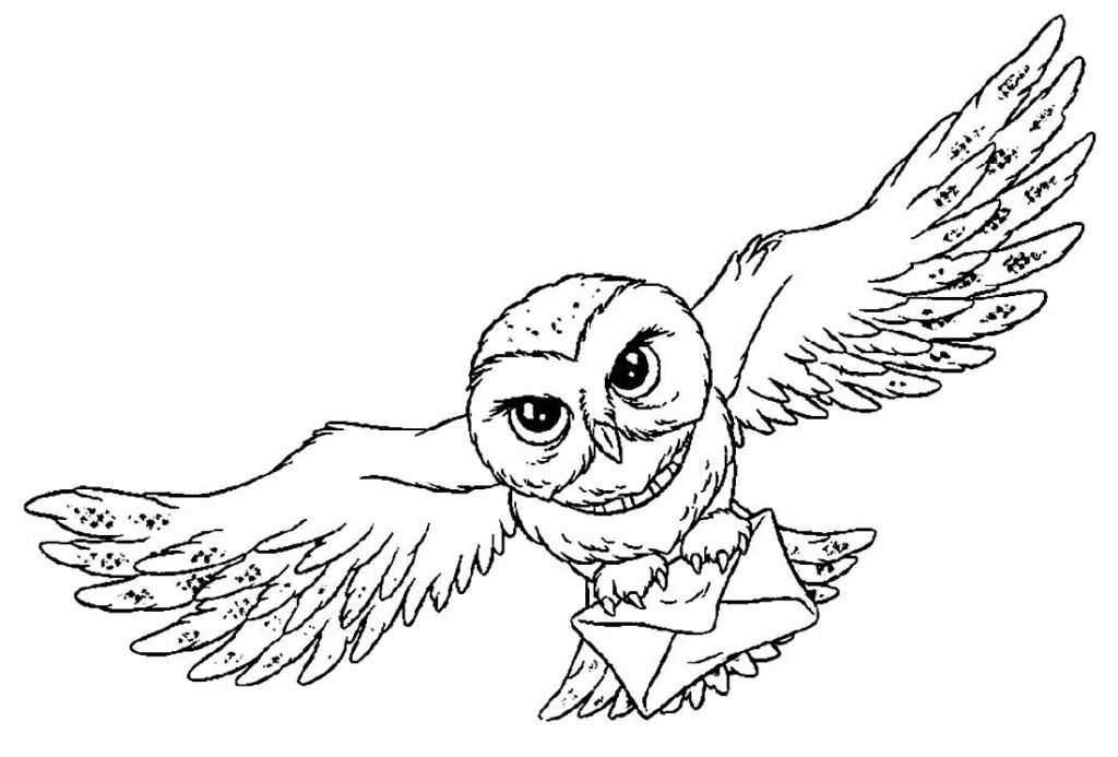 Desenho para colorir de Harry Potter