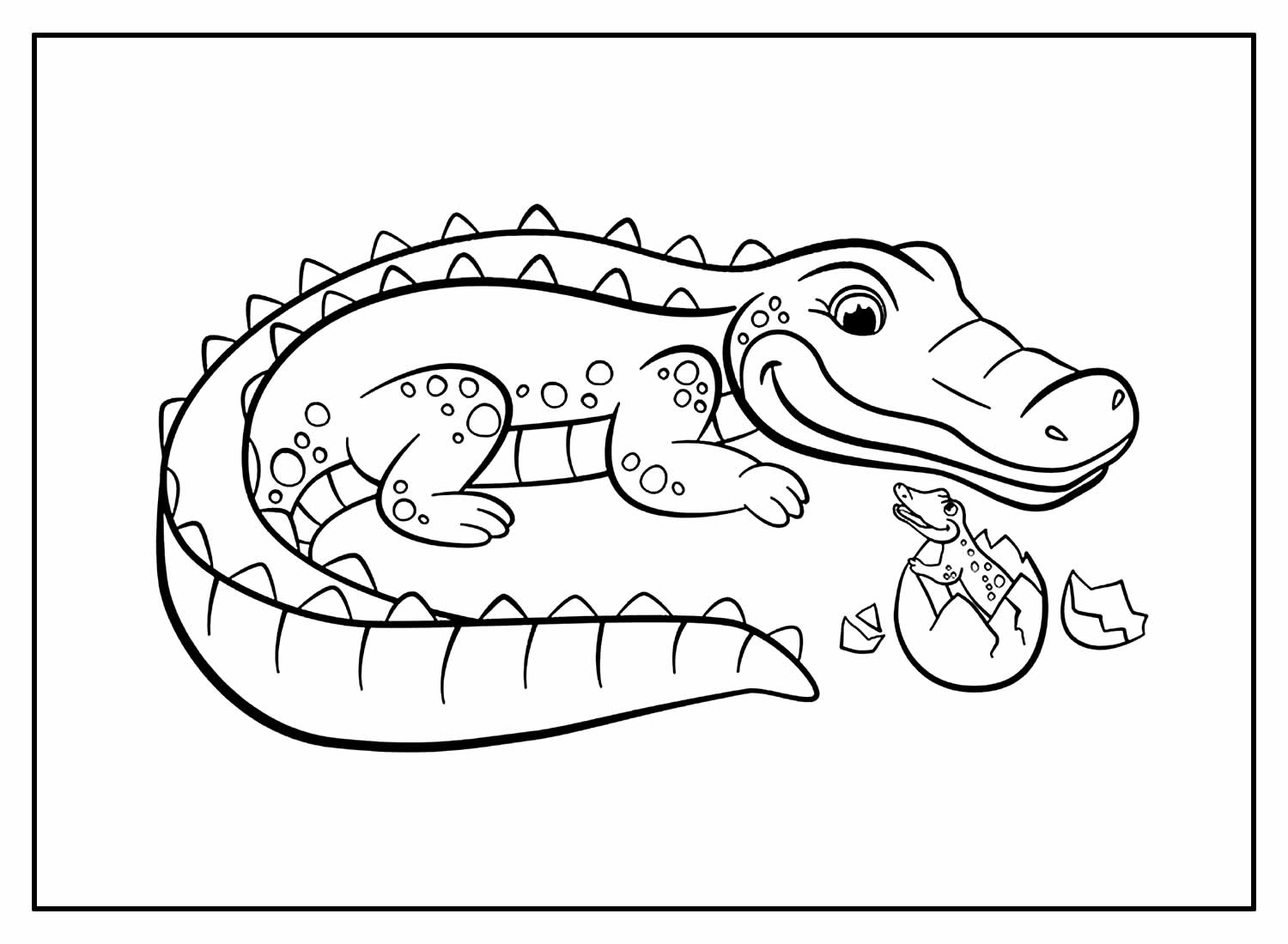 Desenhos de Jacaré para colorir - Bora Colorir