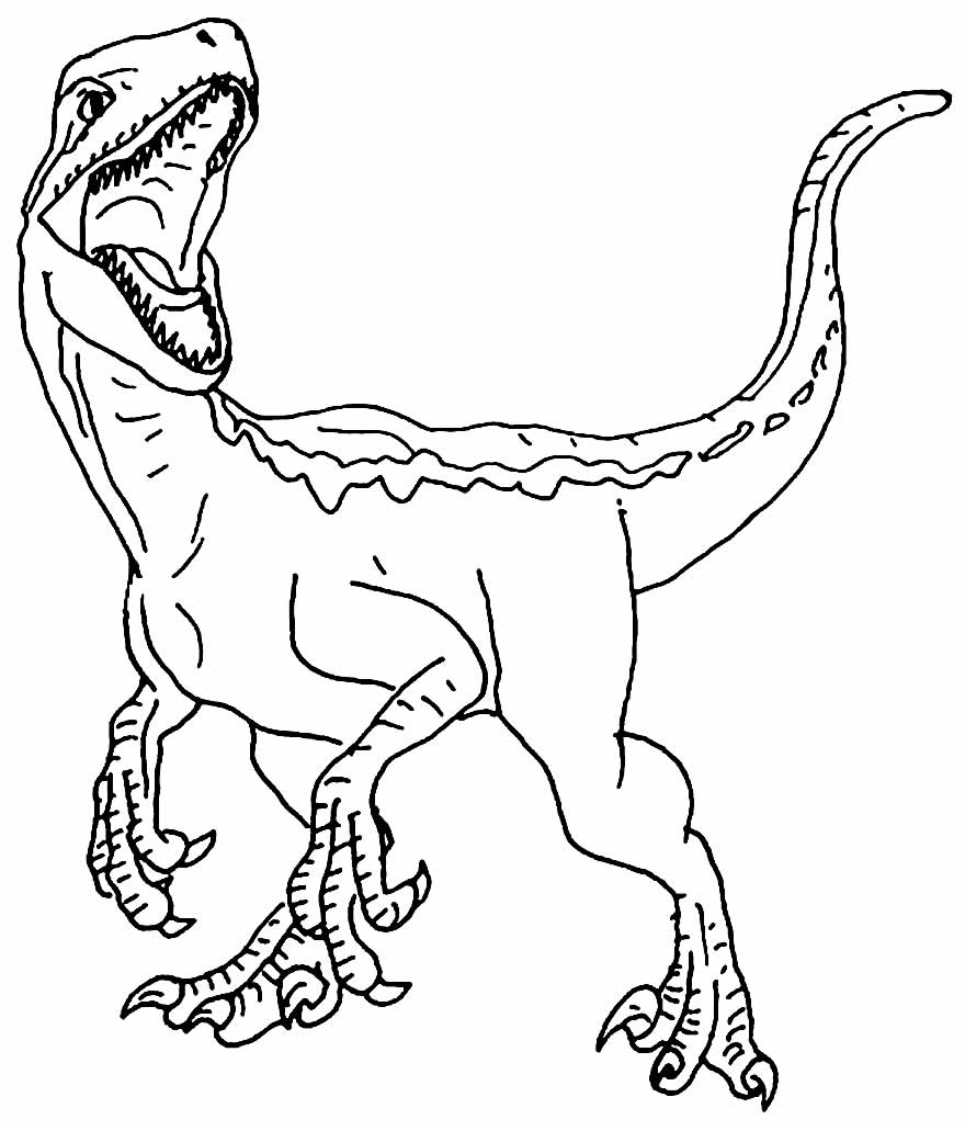 Desenhos De Jurassic Park Para Colorir Bora Colorir