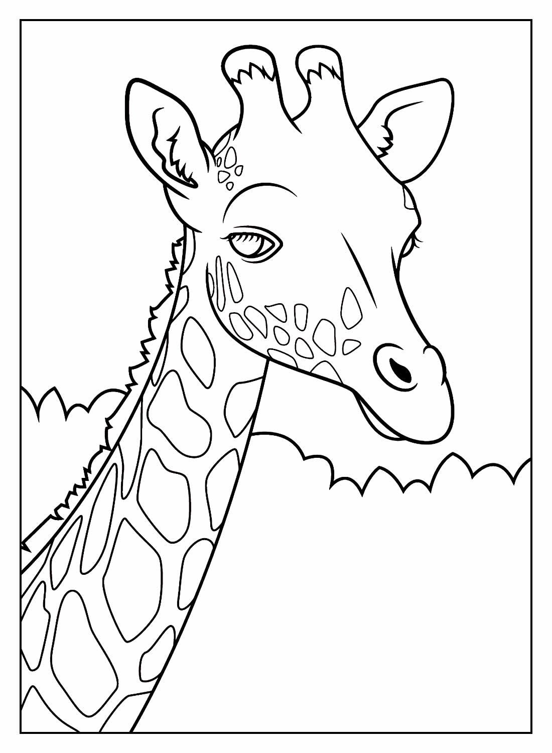 Desenhos de Safari para colorir - Bora Colorir