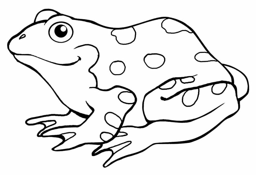 Desenhos de Sapo para colorir e imprimir - Pinte Online