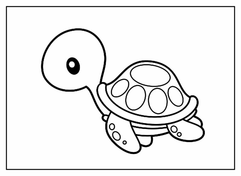 Desenhos De Tartaruga Para Colorir Bora Colorir