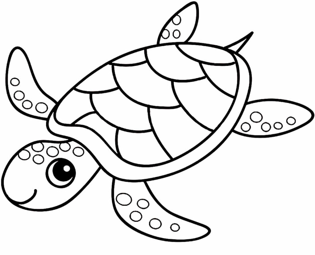 Desenho de Tartarugas para colorir