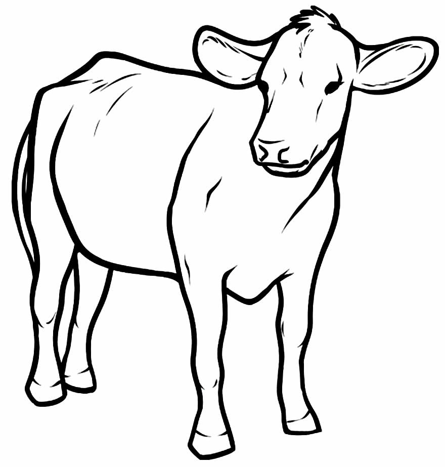 Vaca para colorir - Desenho