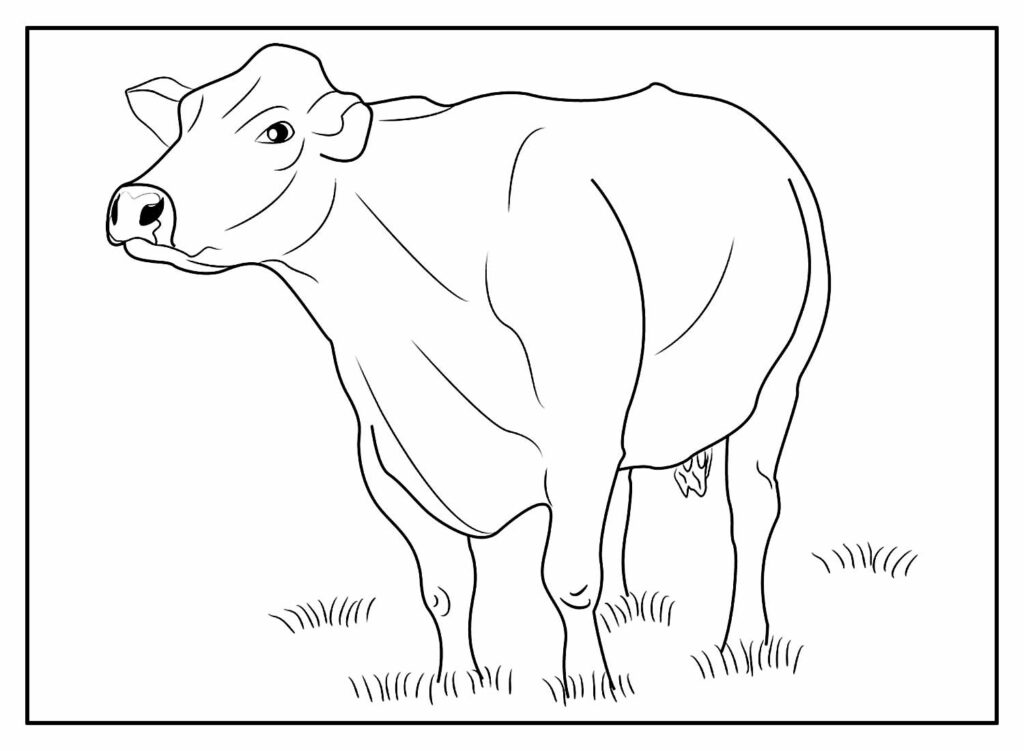 Desenho Vaca Colorir