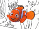 Desenhos de Procurando Nemo para colorir