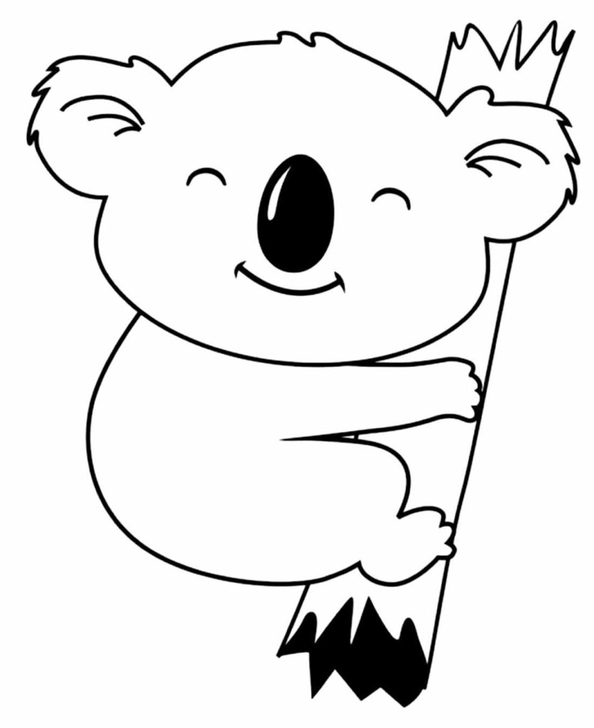 Desenho de Koala para colorir