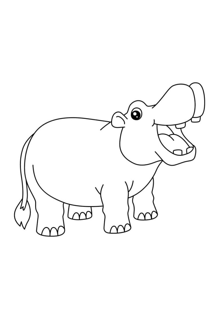Desenhos de Hipopótamo para colorir - Bora Colorir