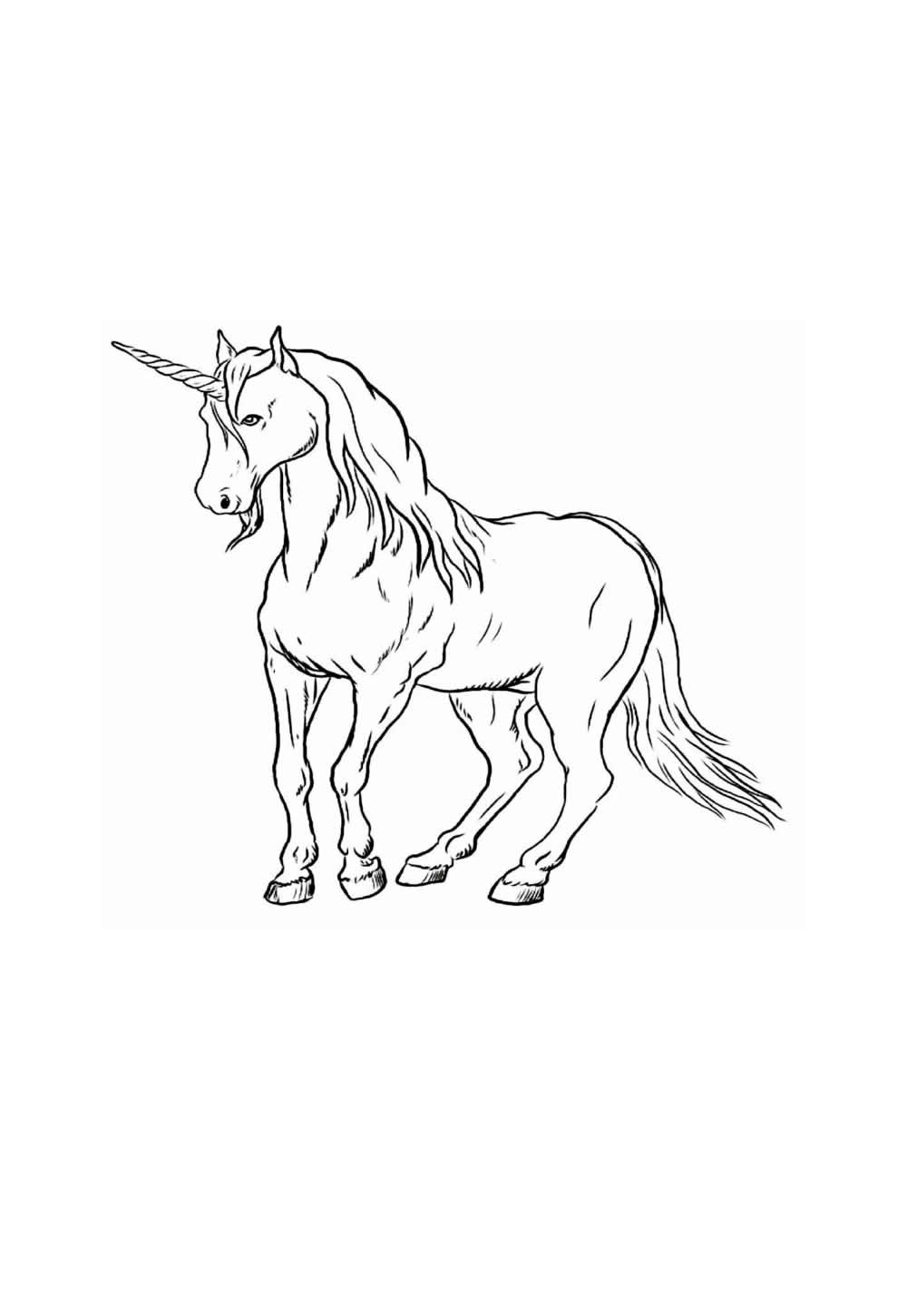 Desenho Realista Unicórnio