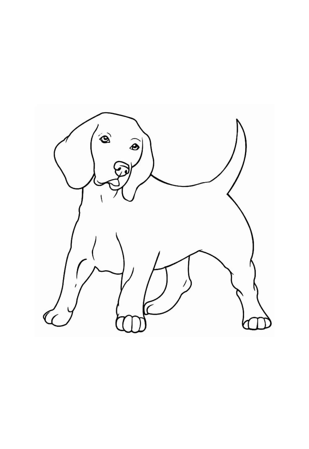 Desenho Realista para colorir