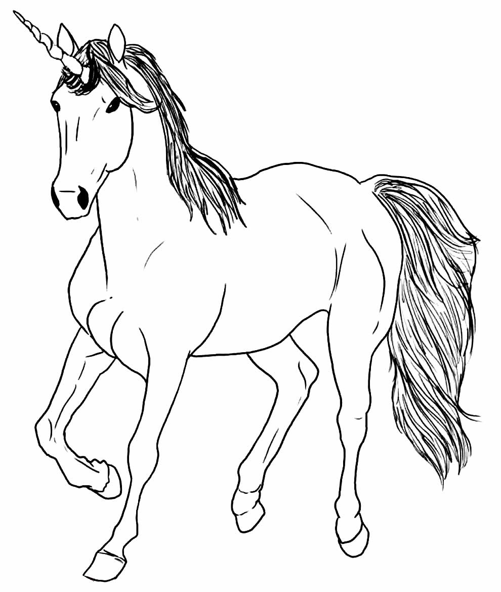 Desenhos Realistas para colorir - Bora Colorir