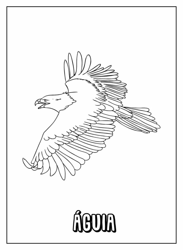 Desenho Educativo de Águia para colorir e pintar