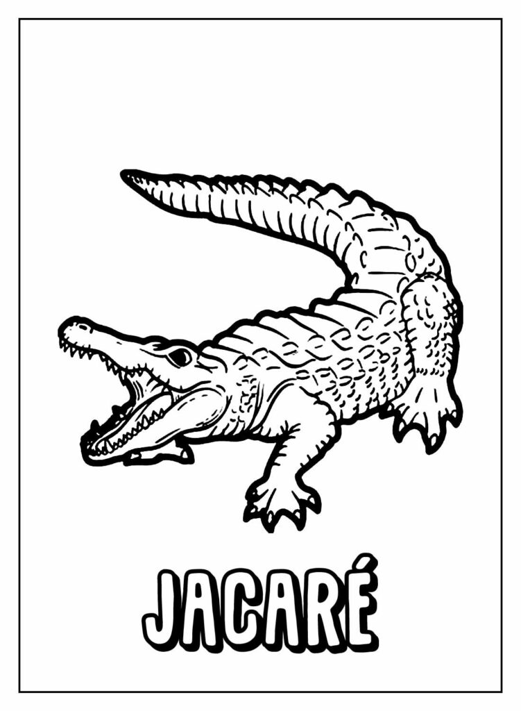 Desenho de Jacaré com Nome para colorir