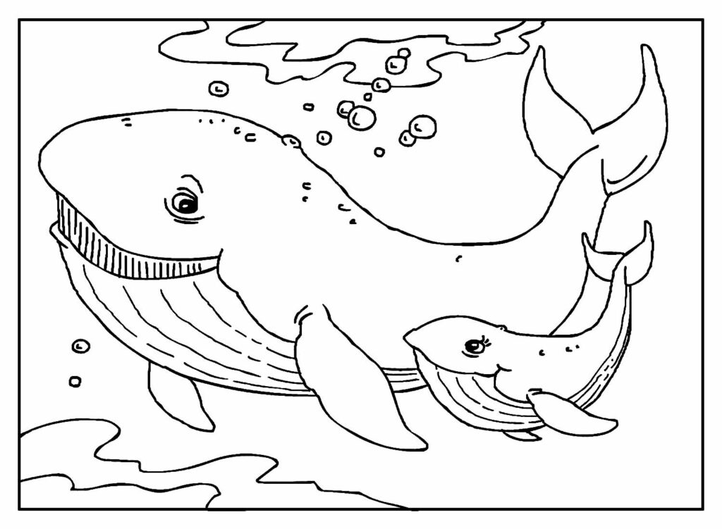 Desenho de Baleia para pintar e colorir