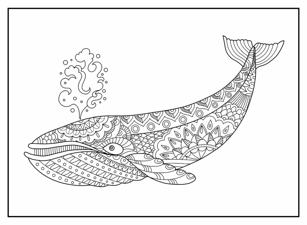 Baleia - Desenho par colorir