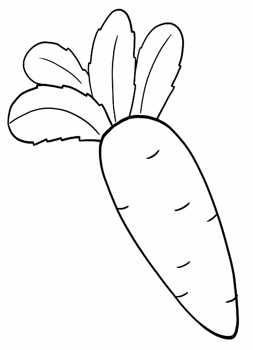 Desenhos de Cenoura para colorir - Bora Colorir