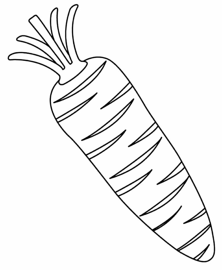 Desenhos de Cenoura para colorir - Bora Colorir