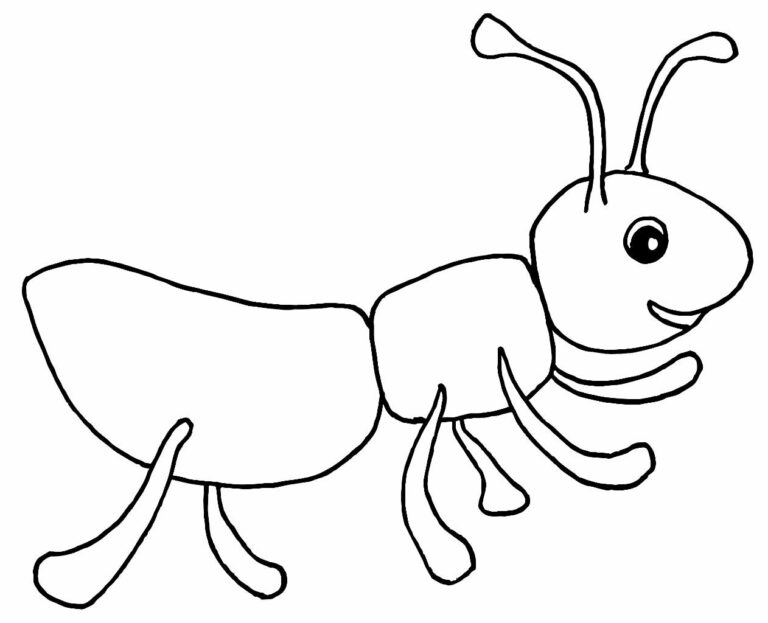 Desenhos de Formiga para colorir - Bora Colorir