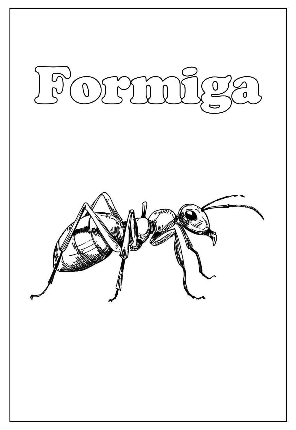 Desenho de Formiga
