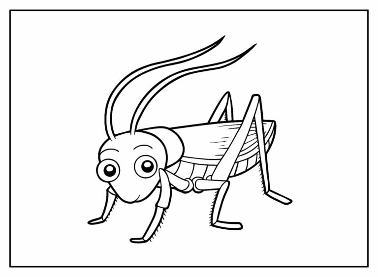 Desenhos de Gafanhotos para colorir - Bora Colorir