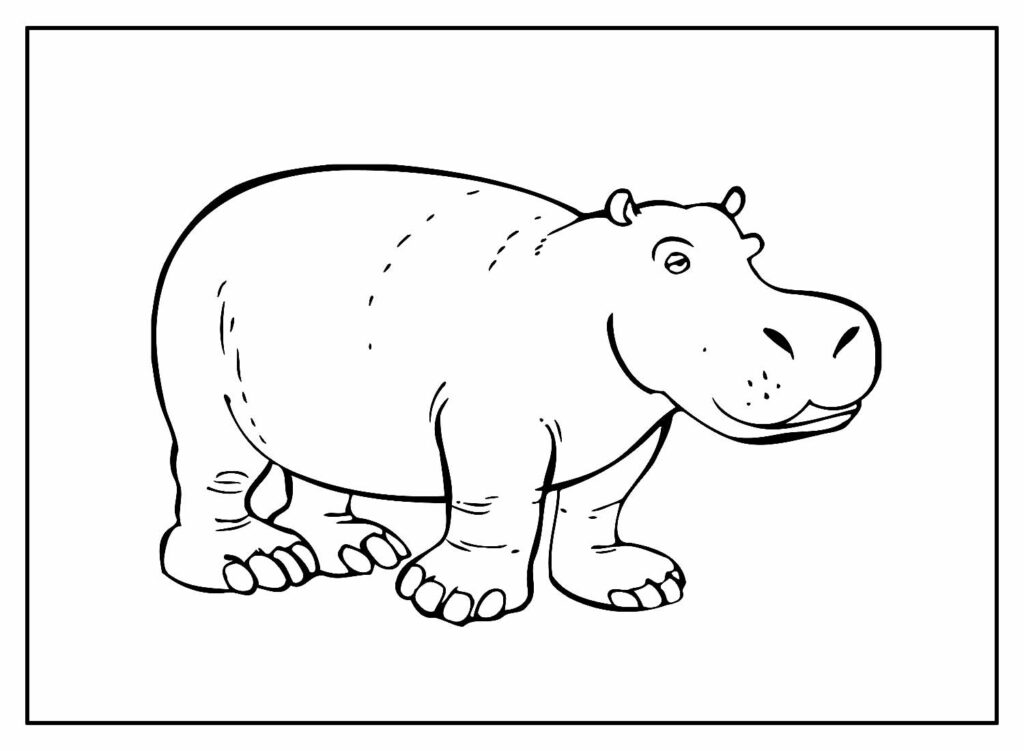 Desenhos para pintar de Hipopótamo