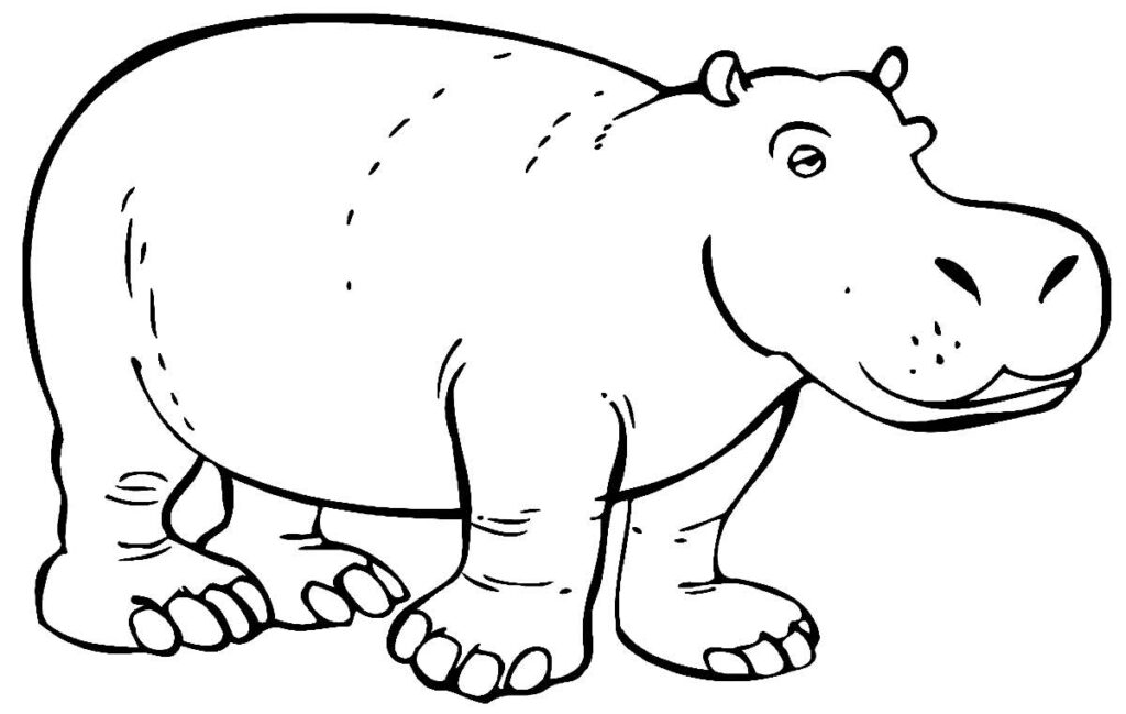 Desenhos para pintar de Hipopótamo