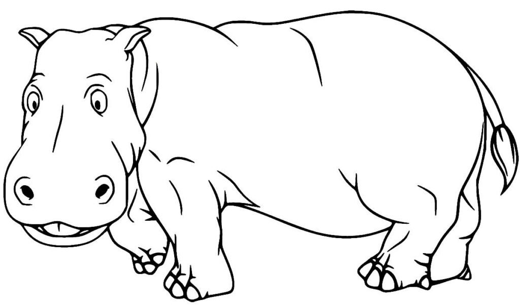 Imagem de Hipopótamo para colorir