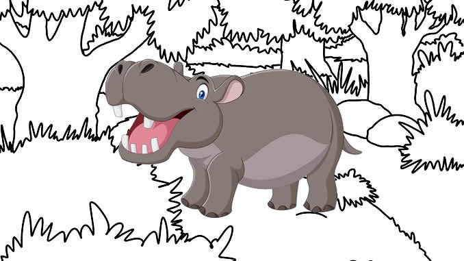 Desenhos de Hipopótamo para colorir