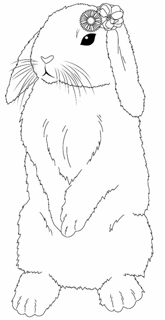 Desenho de Coelho para colorir