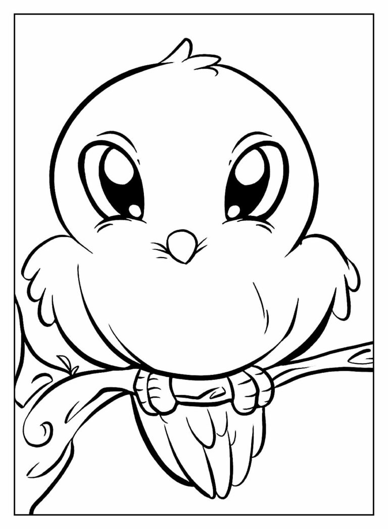 Desenhos de Passarinhos para colorir - Bora Colorir