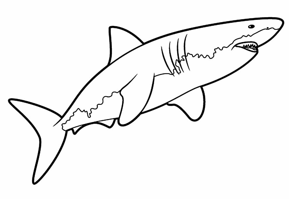 Desenhos Tubarão Pintar