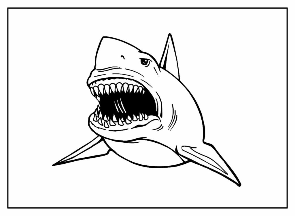 Desenhos Tubarão Pintar