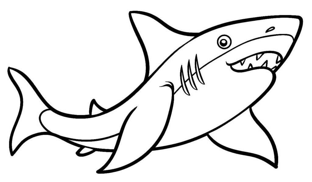 Desenhos Tubarão Colorir