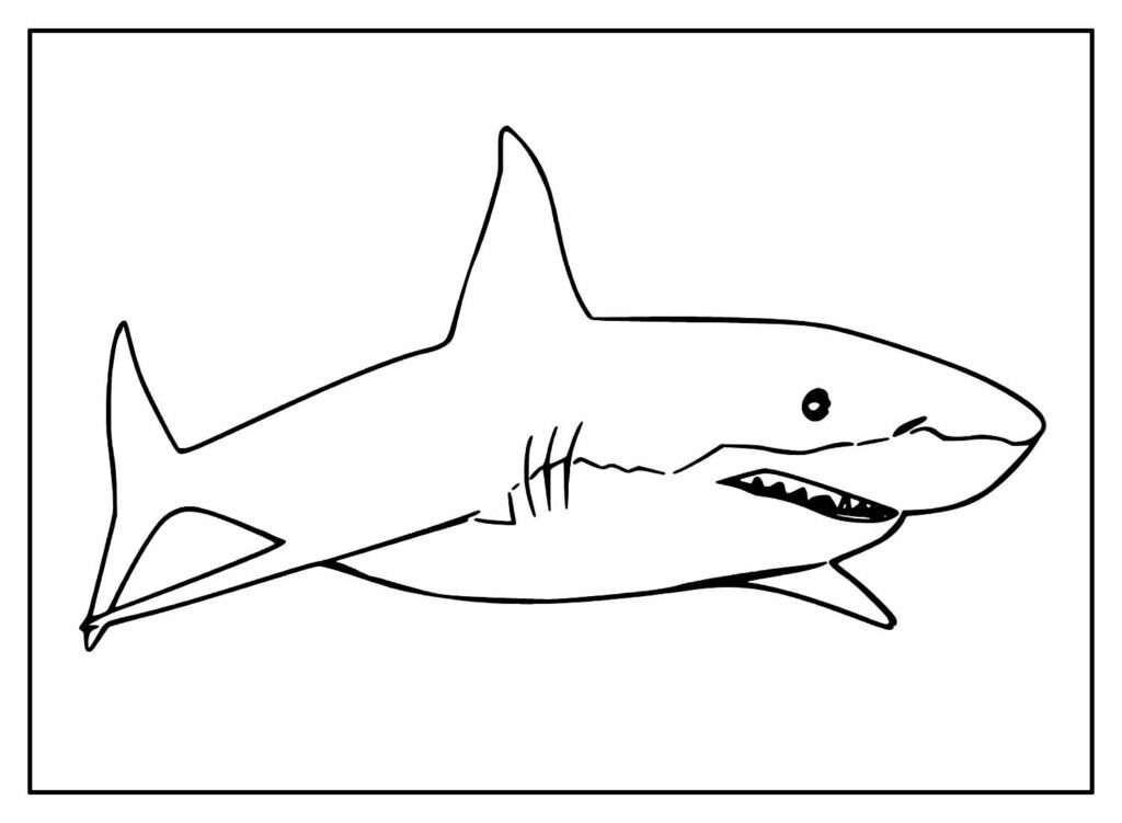 Desenho para colorir de Tubarão