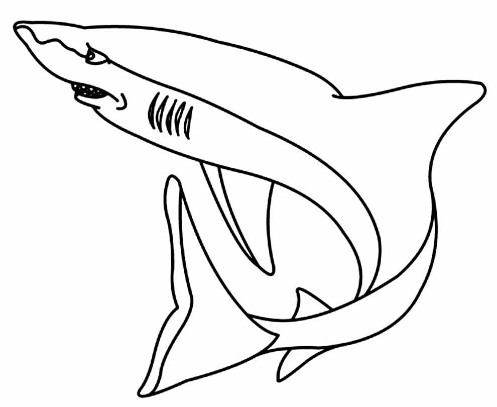 Desenho de Tubarão para colorir